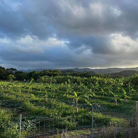 Maleka Farm: Tent Glamping North Shore Oahu Laie Eksteriør bilde